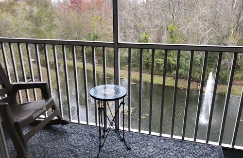Lutz Condo | Experience Nature at Sky View with Pool & Spa Amenities