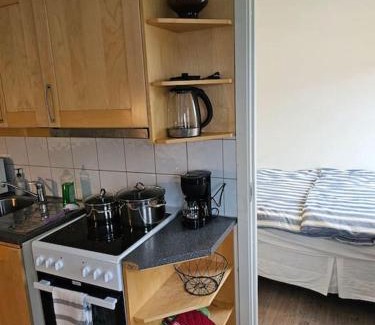 Rasta Apartment | Skyline Flat: Free Parking in Pet-Friendly Getaway