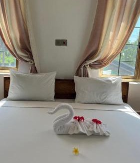 Zanzibar Town Hotel | Skyport villa