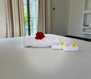 Zanzibar Town Hotel | skyport villa