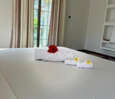 Zanzibar Town Hotel | skyport villa