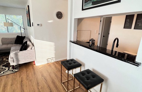 Northwest Dallas Apartment | SLEEK LUXE GEM DownTown Dallas 2Bd 2Ba