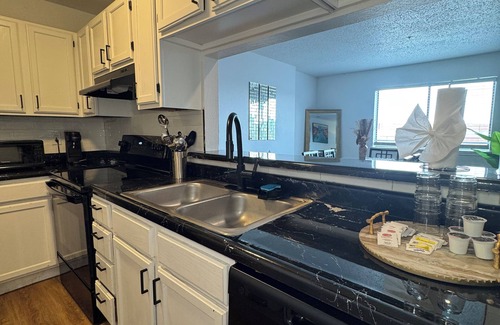 Northwest Dallas Apartment | SLEEK LUXE GEM DownTown Dallas 2Bd 2Ba