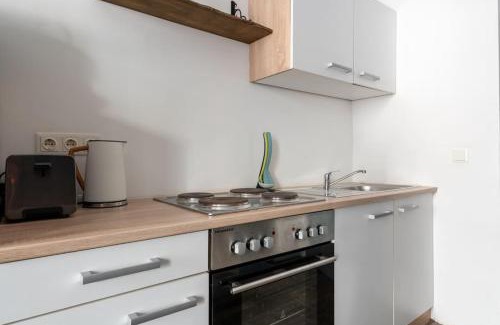Weißgerber Apartment | Elegant HM Sleek Studio Near City Center - Family Friendly