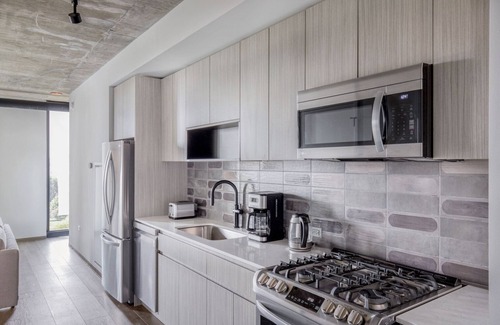 Near West Side Apartment | Modern 1BR West Loop Retreat with Dog Run & Gym