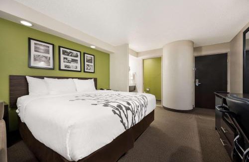 Athens Hotel | Pet-Friendly Retreat at Sleep Inn Athens I-65 with Pool
