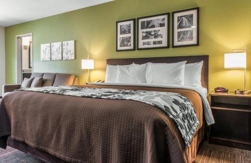 Ellenboro Hotel | Discover Comfort at Sleep Inn Ellenboro Hwy 50 – Pet Friendly