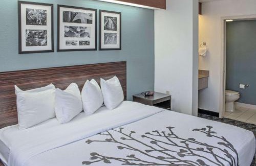 Northwest Hotel | Relax at Sleep Inn Lake Wright - Norfolk Airport Getaway