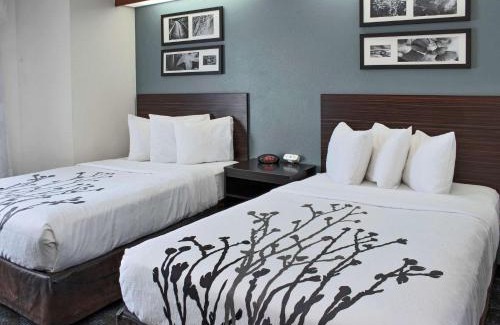 Northwest Hotel | Relax at Sleep Inn Lake Wright - Norfolk Airport Getaway