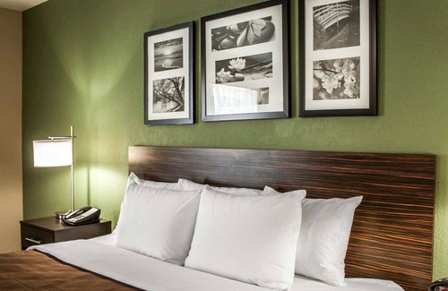 Nampa Hotel | Comfortable Stay at Sleep Inn Nampa with Great Amenities