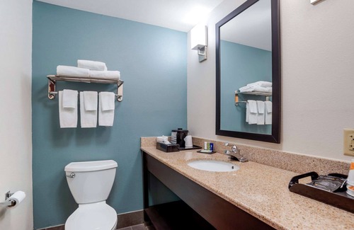 Auburn Hotel | Cozy Stay at Sleep Inn & Suites Auburn Campus Area