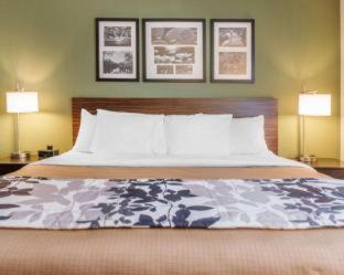 De Funiak Springs Hotel | Pet-Friendly Sleep Inn & Suites in Defuniak Springs