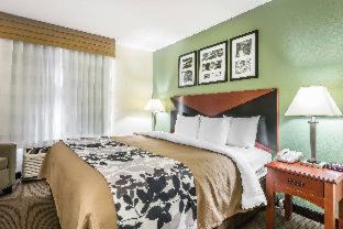 Gainesville Hotel | Discover Sleep Inn & Suites: Poolside Comfort near Campus