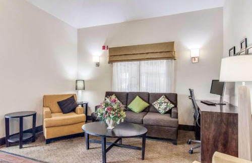 Austintown Hotel | Comfortable Stay at Sleep Inn with Pool and Pet-Friendly Perks