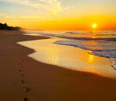 Ranna Hotel | Experience Serenity at Sleeping Elephant Beach Resort
