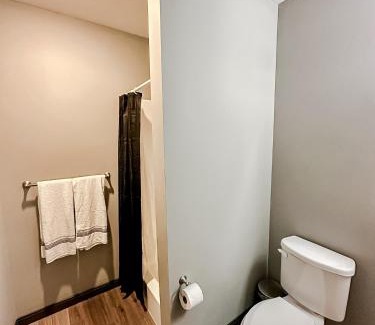 Downtown Springfield Apartment | Comfortable Sleepover Luxe Downtown Springfield Apartments
