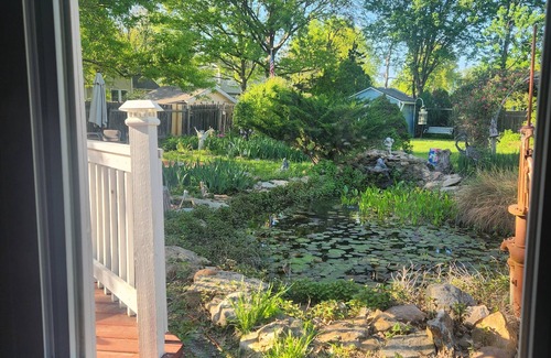 Lawrence House | Sleeps 12! Main Level Primary Suite - Beautiful Backyard Oasis!