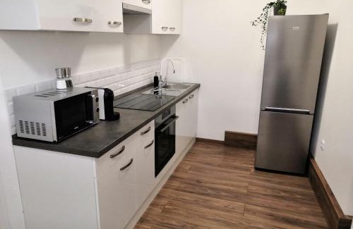 Bakov nad Jizerou Apartment | Kid-Friendly SLO Apartments: Guest Rated at 9.5/10