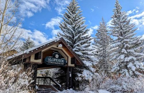 Mountain House House | Kid-Friendly Retreat with Hot Tub at Slopeside 2736A