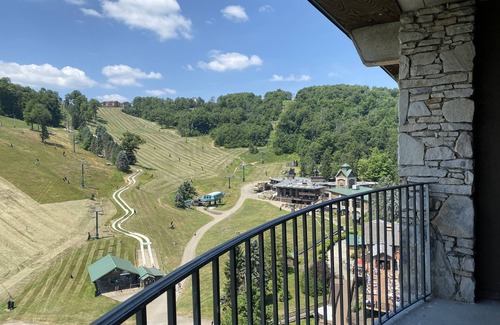 Seven Springs Apartment | Pet-Friendly Slopeside Hotel Near Seven Springs Resort