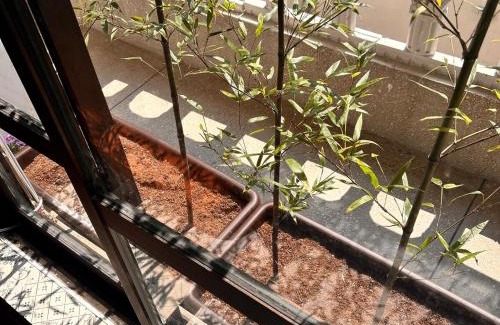 Suyeong-Gu Villa | SLOW GWANGAN hotel