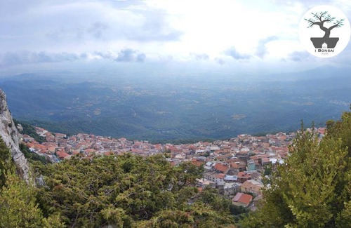 Talana Bed & Breakfast | Cozy B&B Retreat in Sardinia's East Coast Wilderness