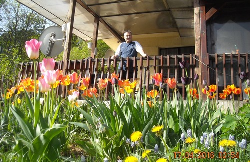 Vitosha District House | Cozy House with Kitchen near Vitosha Mountain Retreat