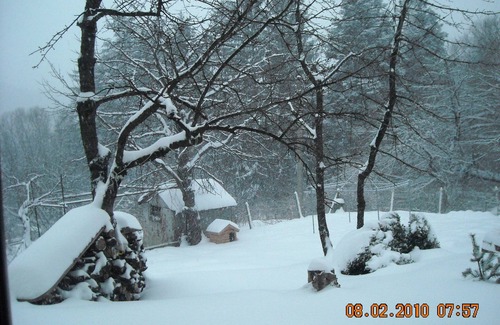 Vitosha District House | Cozy House with Kitchen near Vitosha Mountain Retreat