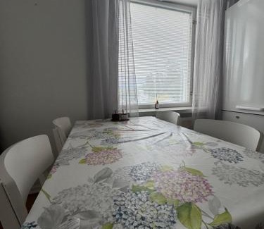 Enonkoski Apartment | Small budget traveler's two-room apartment