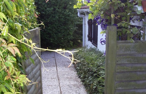 De Haan House | Cozy Holiday Home with Oceanfront Views on Belgian Coast