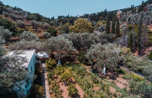 Andros Town House | Discover Small Paradise: 4-Star Haven with 9.9 Rating