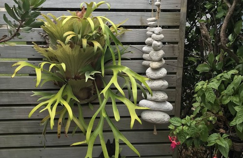 Waihi Beach Apartment | Cozy Self-Contained Studio with Ocean View, Steps to Beach