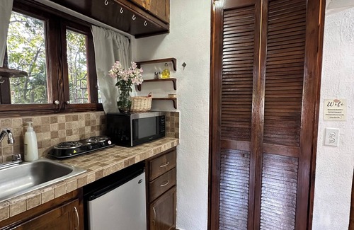 Ildefonso Green Apartment | Small Studio but complete studio with beautiful garden downtown Cabo San Lucas