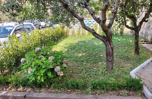 Mologno Apartment | Small vacation home in barga.