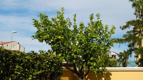 Tortoreto Lido Apartment | Seaside Escape at Smart and Sea – Rated 9.1/10!