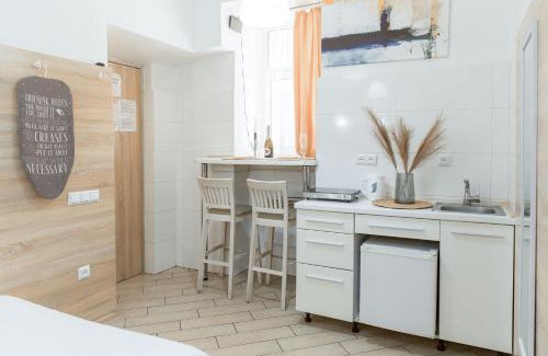 Lviv City Center Apartment | Cozy Apartment on SVYATOHO TEODORA SQUARE 5