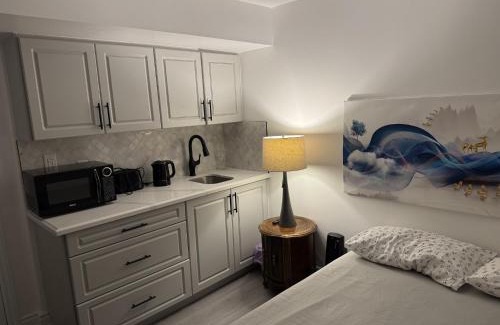 Halton Regional Municipality Apartment | Smart & Cute 1BR Basement Apartment-Milton