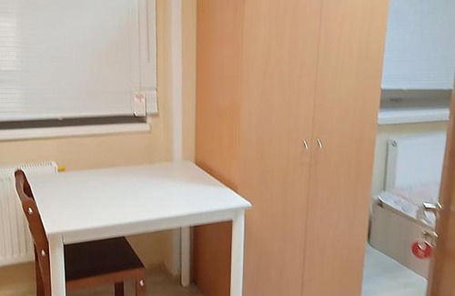 Tyumen Hotel | Comfortable Stay at Smart Hotel КДО Тюмень - Pet Friendly