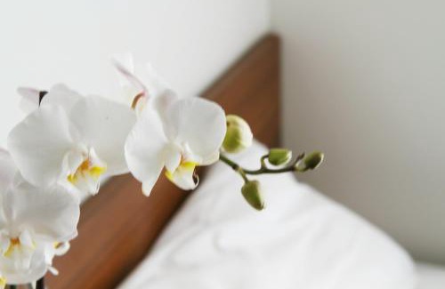 Tromso Hotel | Discover Smarthotel Tromsø: Accessible & Family-Friendly Stay