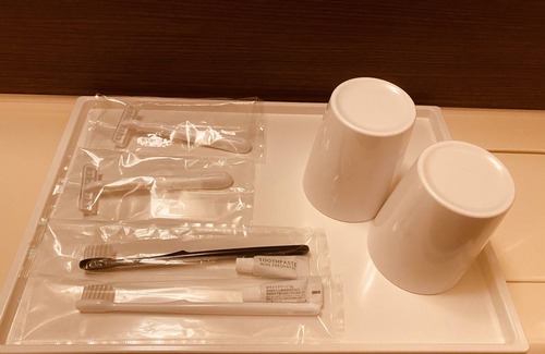 Nishikasai Hotel | Discover Smile Hotel Tokyo Nishikasai: Family-Friendly Stays