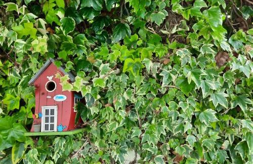 Labruge Bed & Breakfast | Impressive Guest House with Ocean Views in Labruge