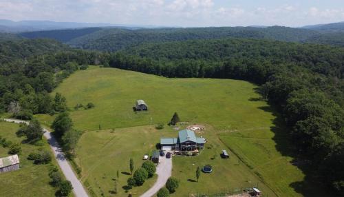 Mingo House | Pet-Friendly Smiths In-Law Suite with Family Amenities