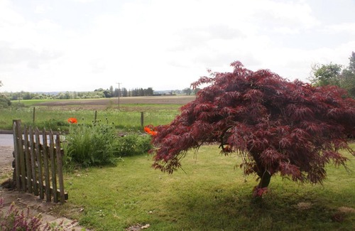 Murthly House | Cozy Smithy Cottage: Pet-Friendly Retreat with High Ratings