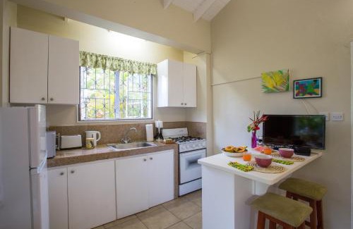 Arawak Hill Apartment | Eco-Friendly Smithy's Oceanfront Apartment with Spa & Beach