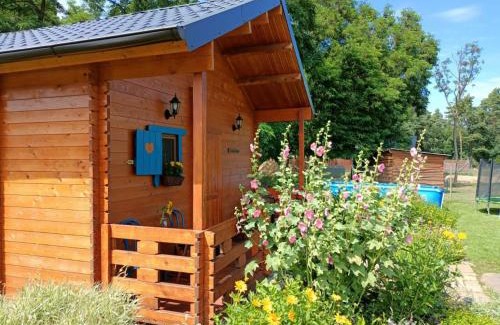 Osno Lubuskie House | Pet-Friendly Getaway at Smocze Ranczo - Rated 9.8/10