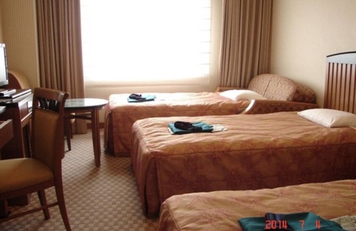 Tono Hotel | Comfortable Triple Room in Tono Iwate with Great Amenities