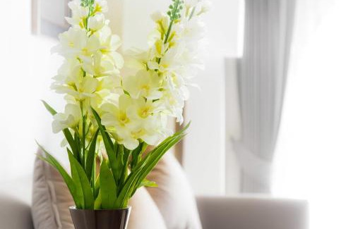 Central Pattaya Hotel | Relax at SN Plus Hotel - SHA Plus with Oceanfront Views