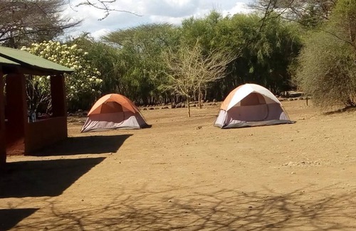 Duka Bovu RV Rental | Family-Friendly Escape at Snake Park Campsite with Breakfast