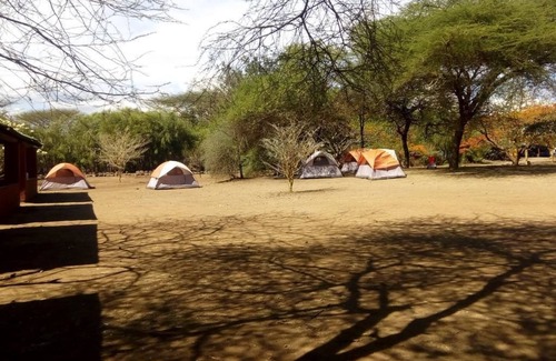 Duka Bovu RV Rental | Family-Friendly Escape at Snake Park Campsite with Breakfast
