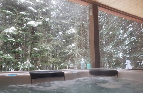 Snoqualmie Pass Cabin | Cozy Snoqualmie Summit Ski Cabin with Pet-Friendly Amenities